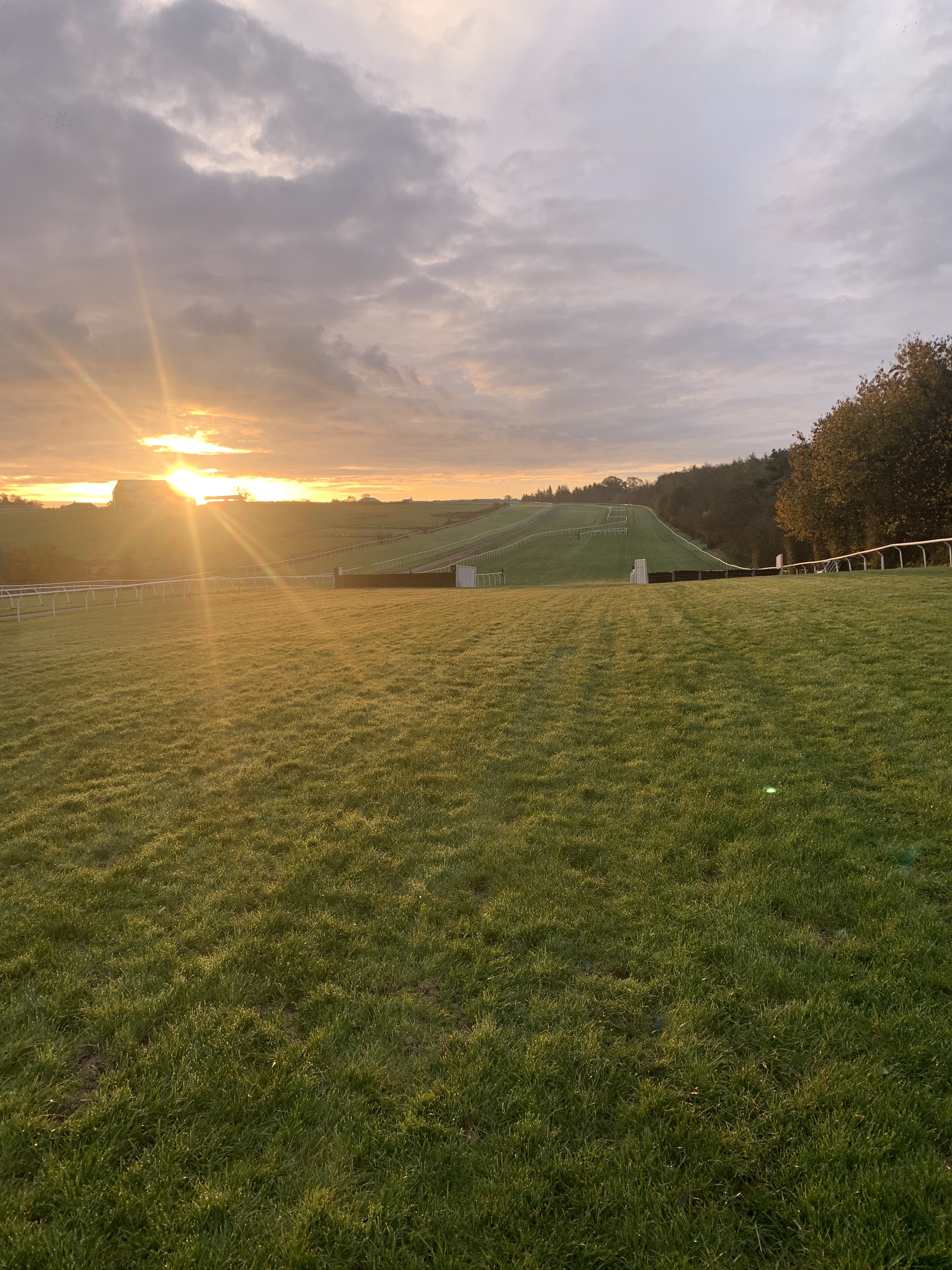 A racecourse at sunrise